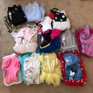 Princess/Character dresses